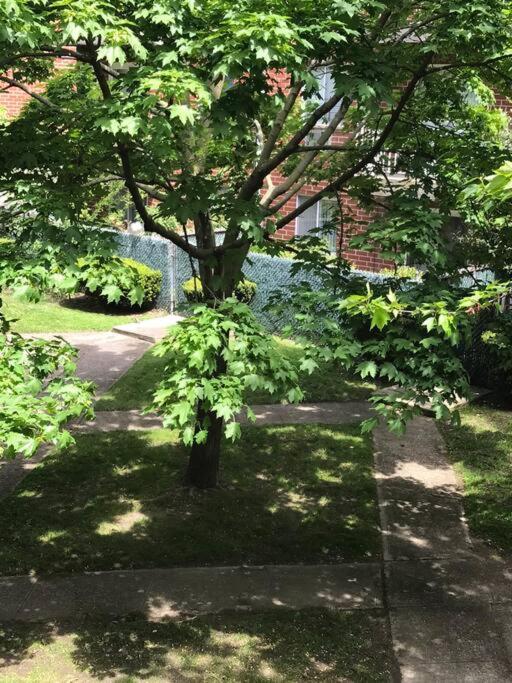 Brooklyn Luxury Spring Retreat With Private Outdoor Space 뉴욕 외부 사진