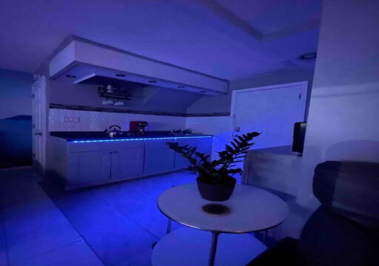 Brooklyn Luxury Spring Retreat With Private Outdoor Space 뉴욕 외부 사진
